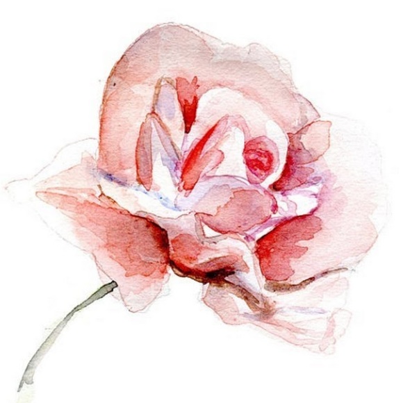 Meet your Posher, Lauren - Picture 1 of 1